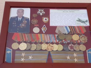 Орден Отечественной войны, медаль «За взятие Вены», медаль «За победу над Германией в Великой Отечественной войне 1941-1945 гг.».