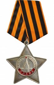 Орден Славы 3 степени