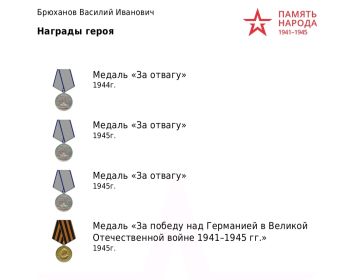 Медаль " За отвагу" 1944г ; Медаль " За отвагу" 1945г ; Медаль " За отвагу" 1945г ;  Медаль " За победу над Германией в Великой Отечественной войне 1941-1945гг."  Орден Отечественной войны II