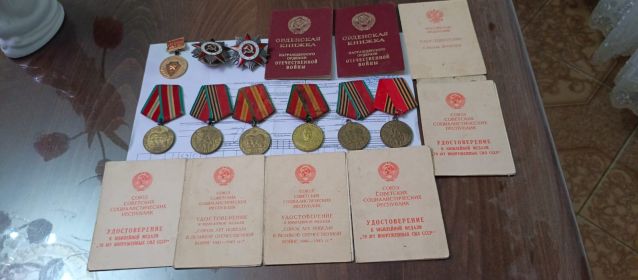 Орден Отечественной Войны второй степени, Орден Отечественной войны второй степени, Медаль Жукова,70 лет вооружённых сил России,40 лет победы в Великой Отечественной войне 1941-1945,