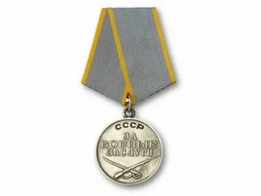 Медаль «За боевые заслуги»