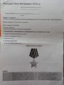 орден Славы 3 степени