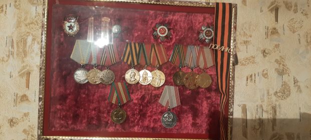 Медаль за боевые заслуги, медаль за освобождение Варшавы, медаль за взятие Берлина, медаль за победу над Германией, Орден Красной звезды, Орден Отечественной войны 1 и 2 степени.