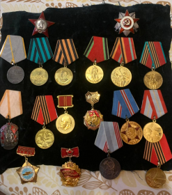 Орден: "Красная Звезда". Медаль: "За боевые заслуги", "За взятие Кенинсберга", "За победу над Германией"