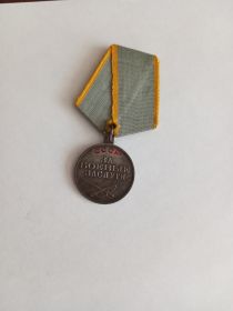 Медаль за боевые заслуги