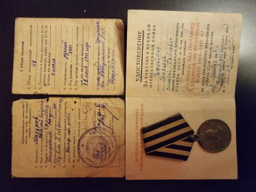 Орден славы 3 степени, медаль за Отвагу, медаль за освобождение Прагу, медаль за Победу над Германией