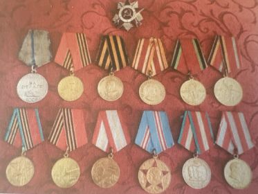 «За отвагу», «За победу над Германией», «За победу над Японией», Медаль Жукова, орден Отечественной войны III степени