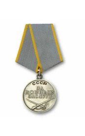 Медаль за боевые заслуги