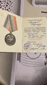 ЗА ДОЛГОЛЕТНИЙ ДОБРОСОВЕСТНЫЙ ТРУД