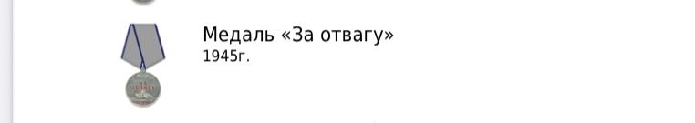 Медаль за отвагу 194(