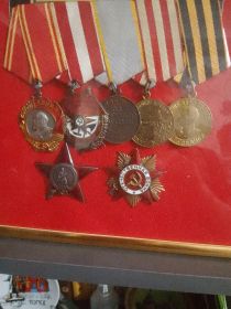 Ленина, Боевого Красного Знамени, Красная Звезда, Отечественной войны. Медали За боевые заслуги, за оборону Москвы, за победу над Германиейду