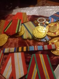 Орден Отечественной Войны 1 степени, Медаль за Освобождение Кавказа
