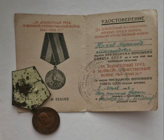 За доблестный труд в Великой Отечественной войне 1941-1945 гг