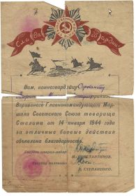 Благодарность за отличные боевые действия