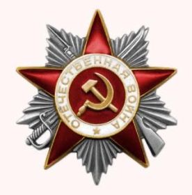 Орден Красной звезды, орден за боевые заслуги. Медали за взятие Сталинграда, Берлина, Кенигсберга,
