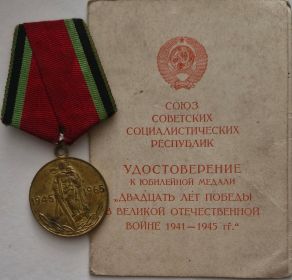 Двадцать лет Победы в Великой Отечественной войне 1941-1945 гг