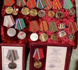 «За доблестный труд в ВОВ 1941-1945 гг.», (Сталинский), Юбилейные медали