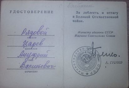 медаль "За Отвагу", медаль "За доблесть и отвагу в Великой Отечественной войне"
