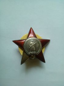 Орден "КРАСНАЯ ЗВЕЗДА", медали "ЗА ВЗЯТИЕ КЕНИНГСБЕРГА", "ЗА ПОБЕДУ НАД ГЕРМАНИЕЙ"