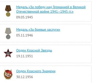 Медаль «За победу над Германией в Великой Отечественной войне 1941-1945гг», медаль «За боевые заслуги», Орден Красной Звезды, Орден Красного Знамени