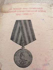 Орден красной звезды, медаль за отвагу,Медаль «За победу над Германией в Великой Отечественной войне 1941—1945 гг.»