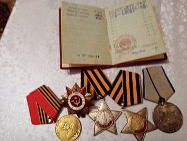 Орден славы 3 степени, медаль за отвагу, орден славы 2 степени