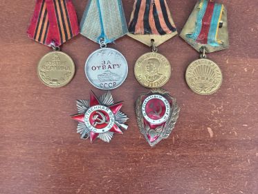 Медали: за взятие Берлина; за отвагу; за победу над Германией; за освобождение Варшавы; орден Великой Отечественной войны; знак отличного сапера.