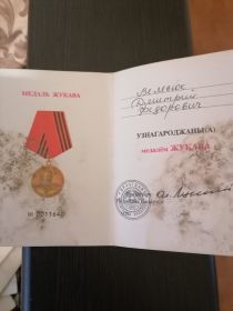 Медаль Жукова