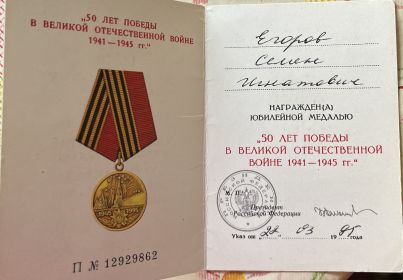 50 лет Победы в Великой Отечественной войне 1941–1945 гг.
