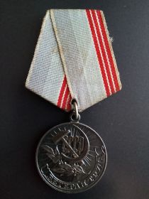 Медаль "ВЕТЕРАН ТРУДа"