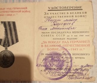 Медаль За победу над Германией в Великой Отечественной войне 1941-1945 гг.
