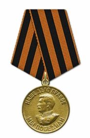 медаль "За победу над Германией в Великой Отечественной войне 1941-1945 гг."