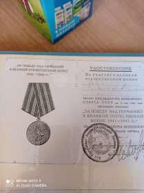 Орден Победы над Германией