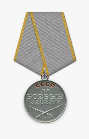 медаль За Боевые Заслуги