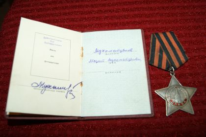 Орден Славы III степени