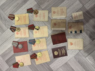Орден отечественной войны 2 степени, за участие в героическом штурме и освобождении Праги , за отвагу , медаль Жукова , за победу над Германией в Великой Отечественной войне 1941-1945гг,