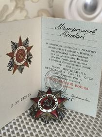 Орден Отечественной Войны 2степени