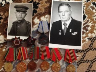 За участие в боях в Великой Отечественной войне награжден боевыми наградами: орденом «Красной Звезды», орденом «Отечественной войны» I степени, медалями «За отвагу», «За победу над Германией