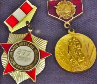 Двадцать лет Победы в Великой Отечественной войне,377-ая гвардейская стрелковая дивизия