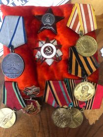 Медаль за победу над Германией в Великой Отечественной Войне 1941-1945 гг