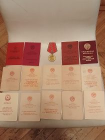 Был награждён орденом Отечественной войны 2 степени двумя медалями"За боевые заслуги", "за победу Германией в Великой Отечественной войне 1941-1945г.г.", "За взятие Берлина" и другие