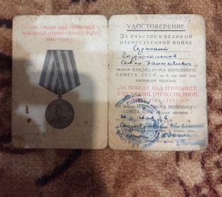 медаль "За победу над Германией в Великой Отечественной войне"