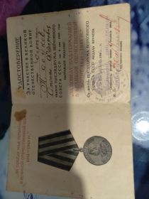 ЗА ПОБЕДУ НАД ГЕРМАНИЕЙ В ВЕЛИКОЙ ОТЕЧЕСТВЕННОЙ ВОЙНЕ 1941-1945 гг