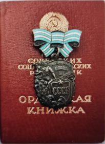 Орден «Материнская слава» III степени