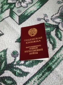 Орден Отечественной войны II степени, юбилейные медали "Двадцать лет Победы в ВОВ 1941-1945гг.", "Тридцать лет Победы в ВОВ 1941-1945гг.", "Сорок лет Победы в ВОВ 1941-1945гг.",