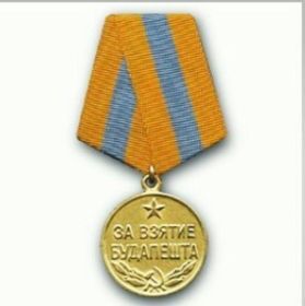Медалями «За взятие Будапешта»