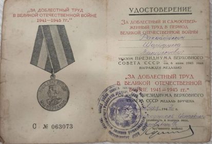 "За доблестный труд в ВОВ 1941-1945гг"