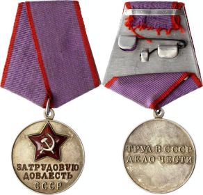 Медаль «За трудовую доблесть»