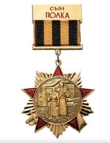 Знак Сын Полка
