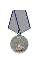 Медаль «За отвагу» (2); Орден Славы III степени (2); Медаль «За победу над Германией в Великой Отечественной войне 1941–1945 гг.»